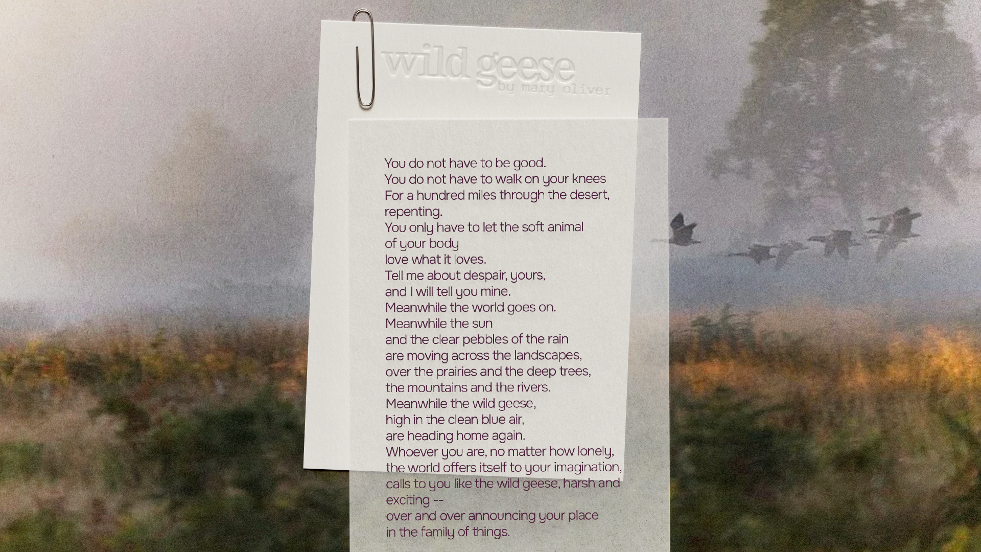 Poema Migros